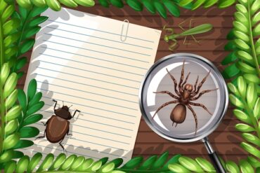 Lewogram patologiczny w EKG: definicja, przyczyny i diagnostyka